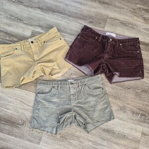 Carve Designs Corduroy Cutoff Shorts Trio — Yellow, Burgundy, Sage